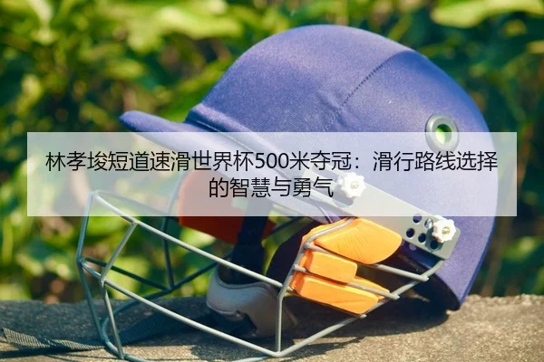 lin-xiao-jun-duan-dao-su-hua-shi-jie-bei-mi-duo-guan-hua-xing-lu-xian-xuan-ze-de-zhi-hui-yu-yong-qi-2-368.jpg